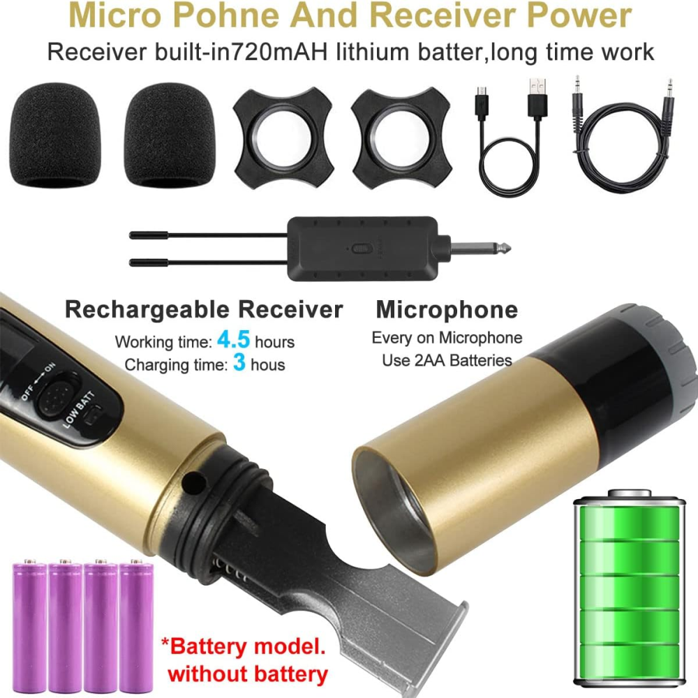 Microfono Inalambrico Doble Profesional Wg200 Con Receptor
