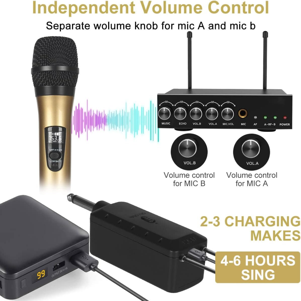Microfono Inalambrico Doble Profesional Wg200 Con Receptor