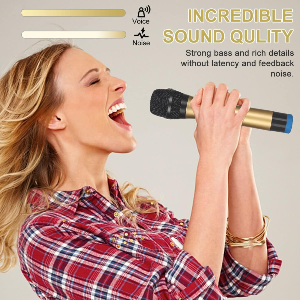 Microfono Inalambrico Doble Profesional Wg200 Con Receptor