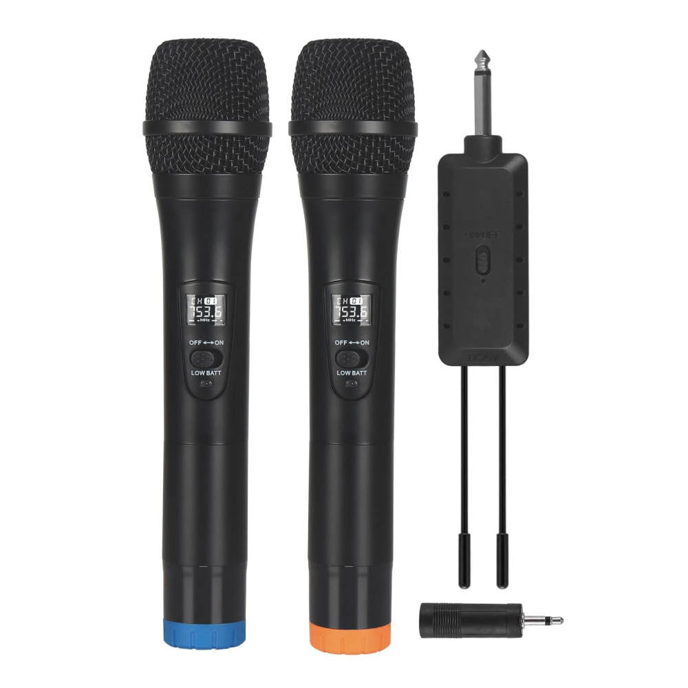 Microfono Inalambrico Doble Profesional Wg200 Con Receptor