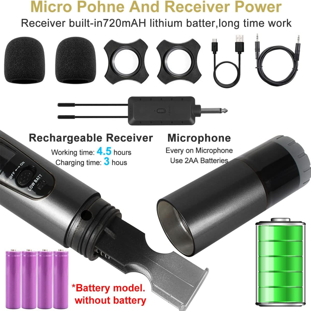 Microfono Inalambrico Doble Profesional Wg200 Con Receptor