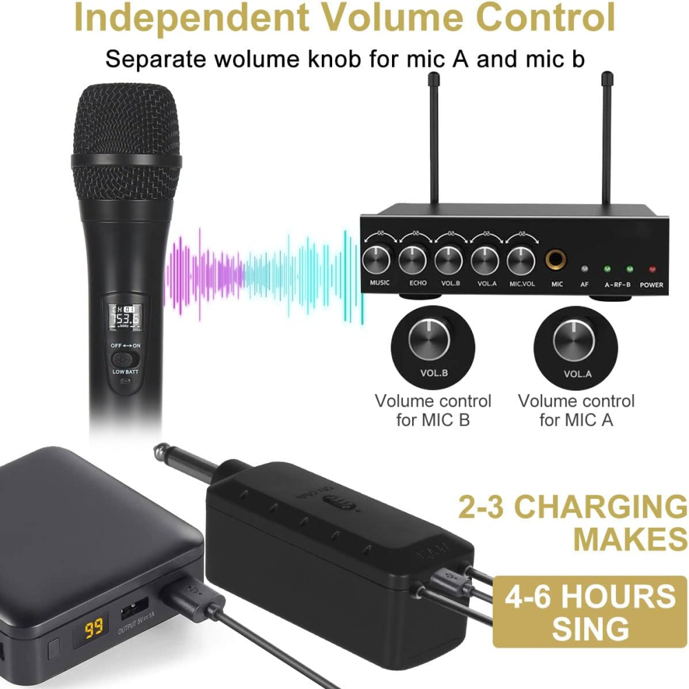 Microfono Inalambrico Doble Profesional Wg200 Con Receptor