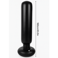 Saco Boxeo Inflable Con Guantes Niños Adultos 160cm PVC