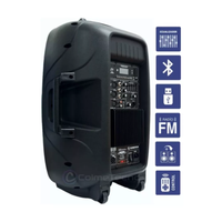 Thumbnail for Cabina De Sonido 15 Pulgadas Profesional Activa Sonivox 120w