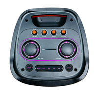 Thumbnail for Cabina De Sonido Recargable 12 Doble Microfono Rgb 9000pmpo