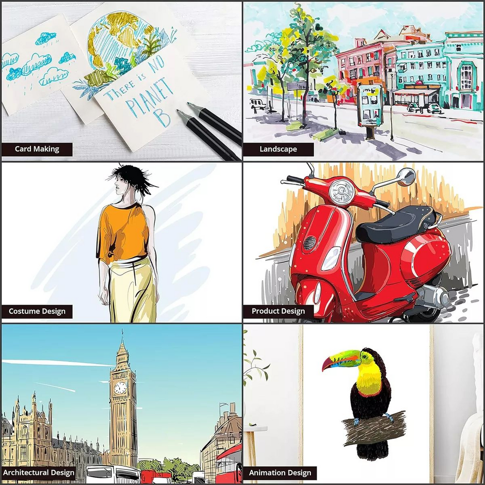 Caja De Marcadores Plumones Doble Punta