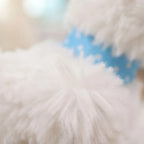 Juguete Peluche Perro Interactivo Lamidas Camina Ladra