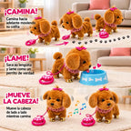 Perrito café: caminata y movimientos de lengua y cabeza