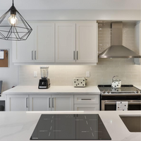 Thumbnail for Estufa De Inducción 3600w Renahouse Germany 4 Puestos