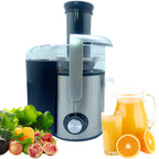 Extractor De Jugos Power Juicer Renahouse 800w