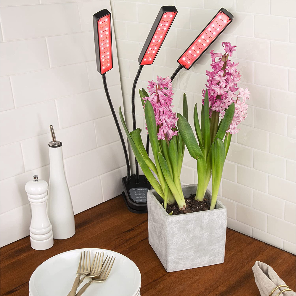 🌿🌱Lampara Led Para Plantas Matas De Cultivo En Interiores🌞