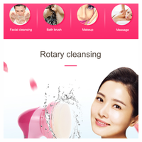Thumbnail for Masajeador Exfoliante Facial Multifunción 12 En 1