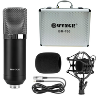 Thumbnail for Microfono Condensador Estudio Profesional Bm700 Con Estuche
