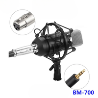 Thumbnail for Microfono Condensador Estudio Profesional Bm700 Con Estuche