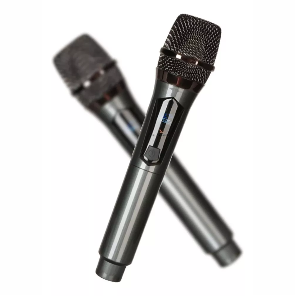 Microfono Inalambrico Doble Profesional Recargable Tipo C