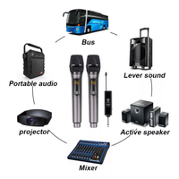 Microfono Inalambrico Doble Profesional Recargable Tipo C