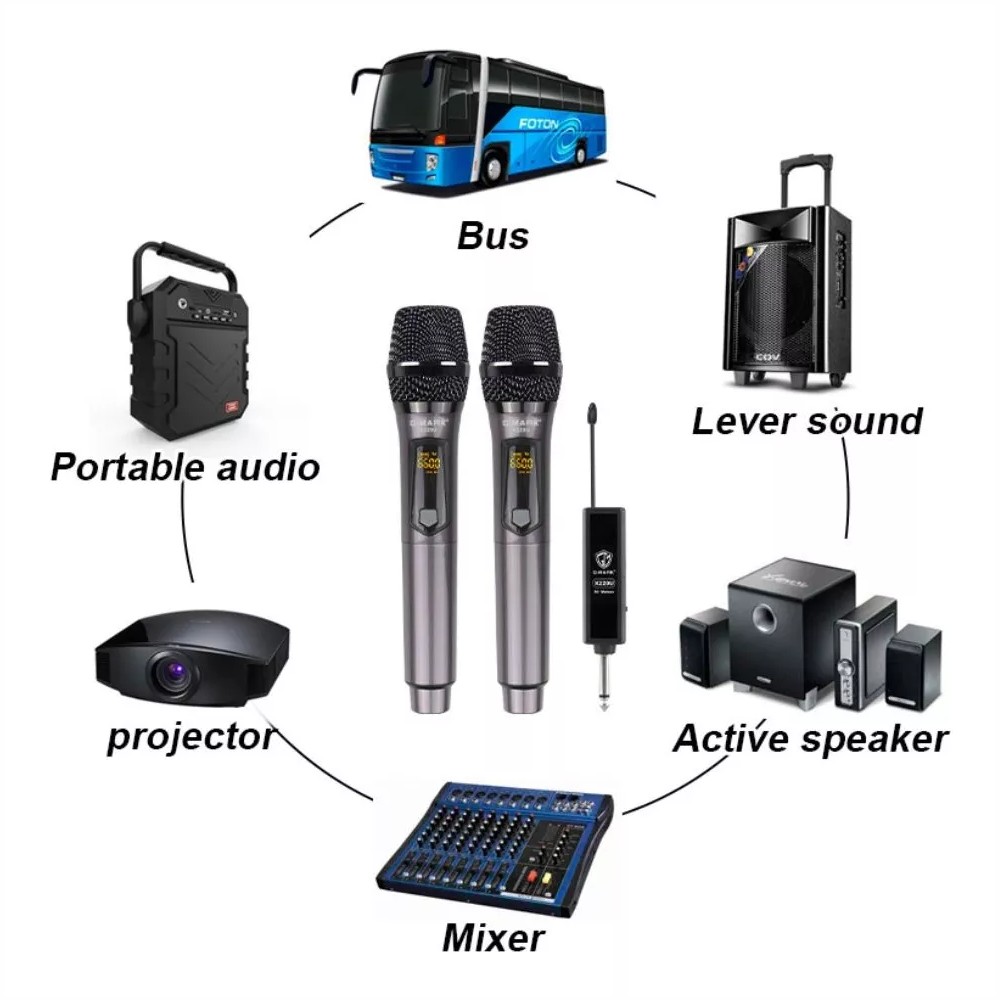 Microfono Inalambrico Doble Profesional Recargable Tipo C