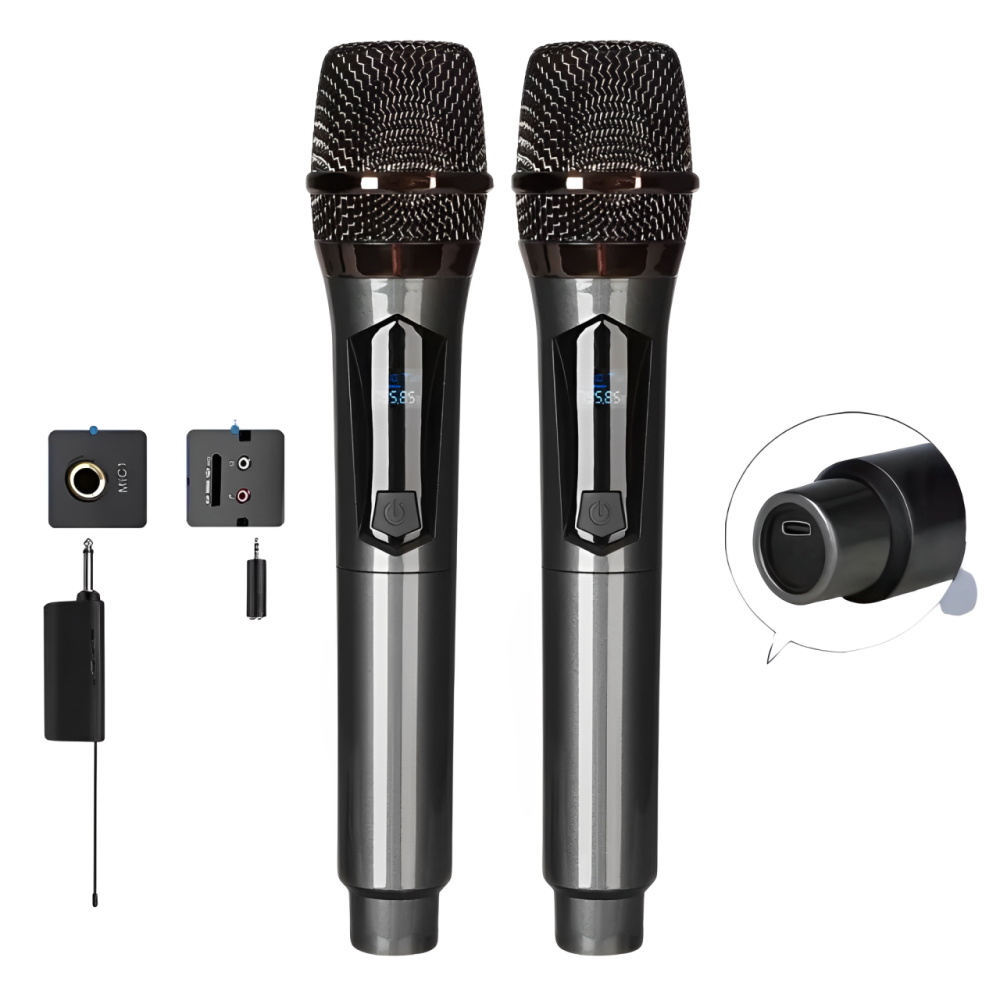 Microfono Inalambrico Doble Profesional Recargable Tipo C