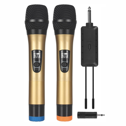 Microfono Inalambrico Doble Profesional Wg200 Con Receptor