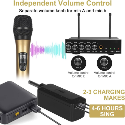 Microfono Inalambrico Doble Profesional Wg200 Con Receptor