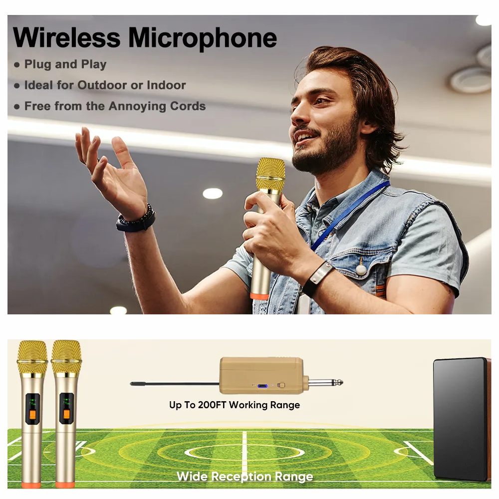 Microfono Inalambrico Profesional Wg100 Con Receptor Uhf