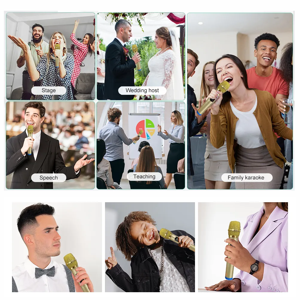 Microfono Inalambrico Profesional Wg100 Con Receptor Uhf