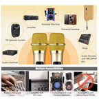 Microfono Inalambrico Profesional Wg100 Con Receptor Uhf