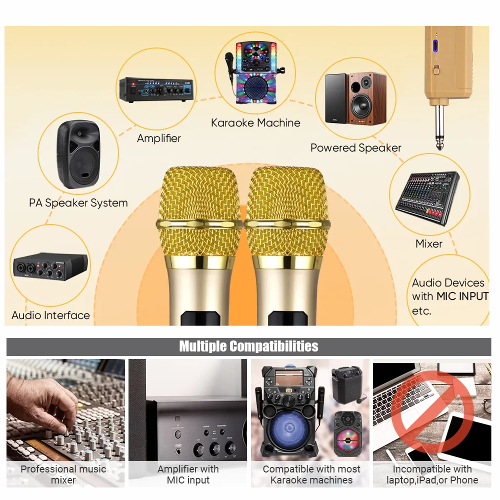 Microfono Inalambrico Profesional Wg100 Con Receptor Uhf