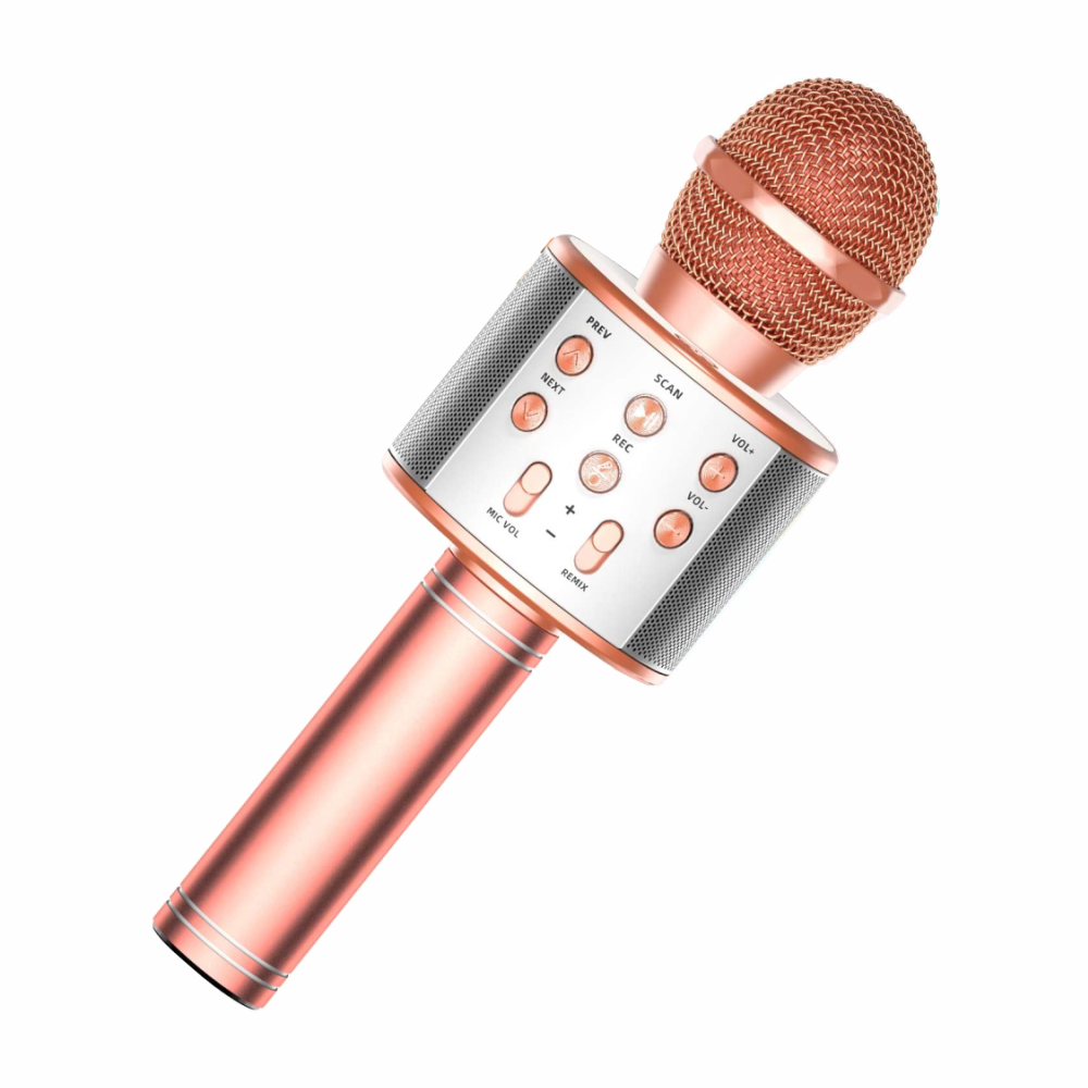Microfono Karaoke Bluetooth Efectos De Voz Ws858