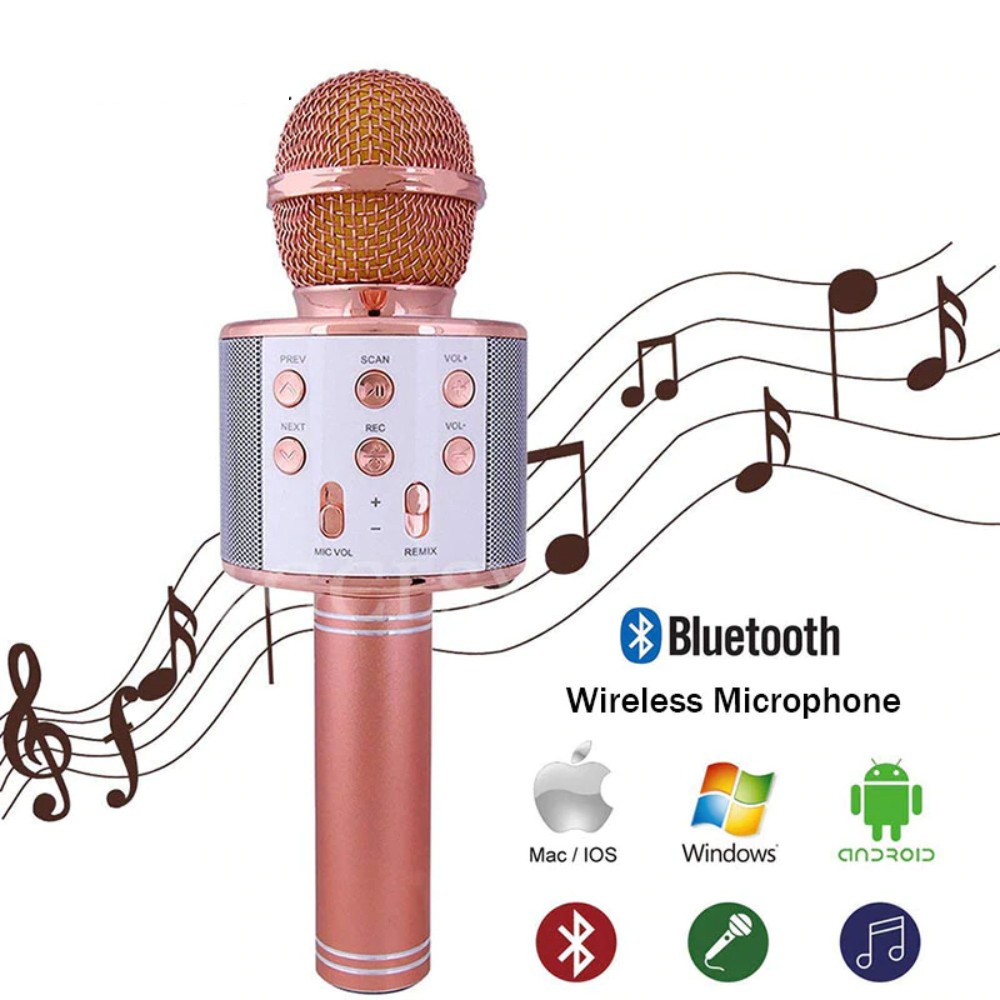 Microfono Karaoke Bluetooth Efectos De Voz Ws858