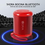 Mini Parlante Portatil Recargable 1 Hora De Bateria Radiofm