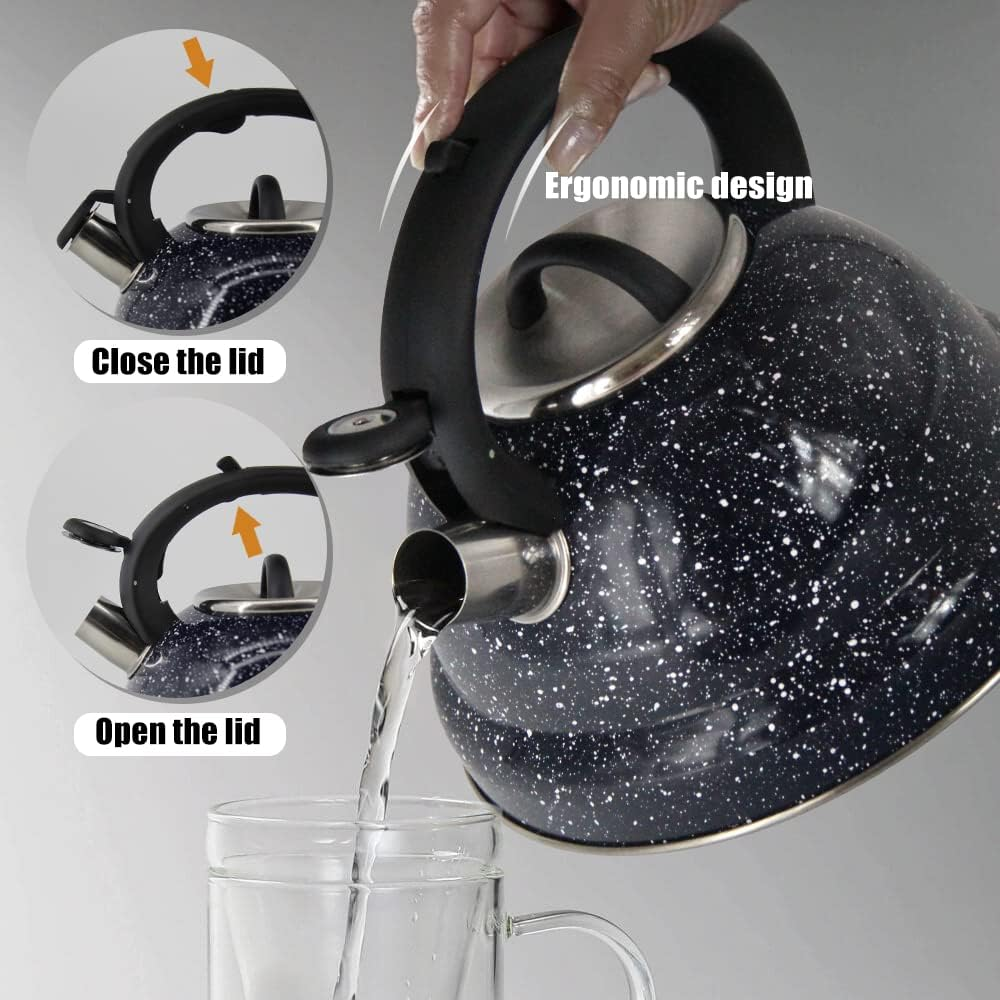 Tetera Hervidora Capacidad De 3 Litros Haus Roland Germany