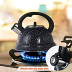 Tetera Hervidora Capacidad De 3 Litros Haus Roland Germany color negro