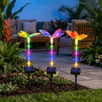Pack 3 lámparas solares LED mariposa LPBF-C decorando un patio al atardecer