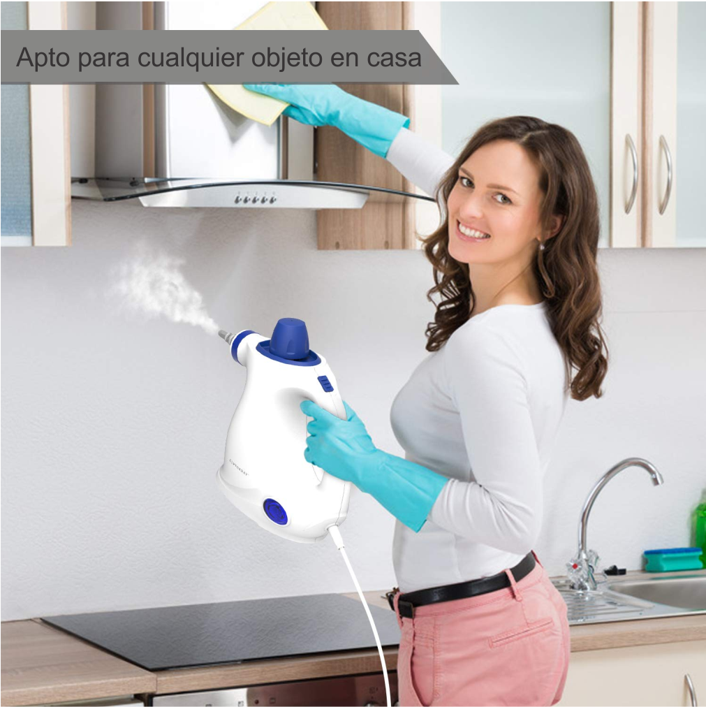 Limpiador A Vapor Renahouse Steam Cleaner