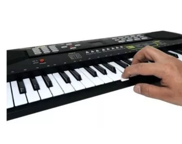 Organeta Para Niños Con Micrófono + Demos Ritmos Metrónomo