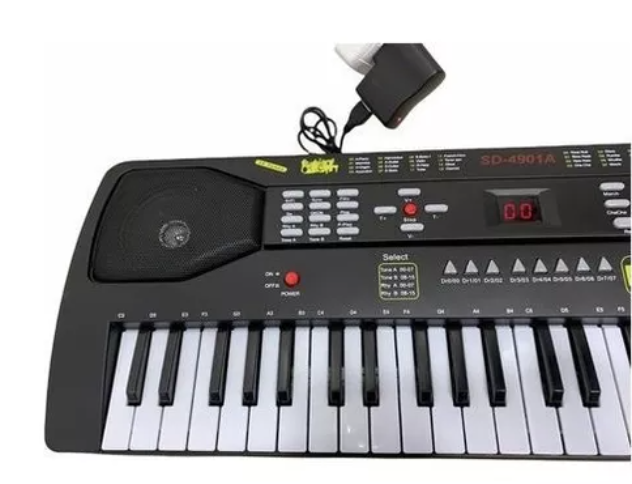 Organeta Para Niños Con Micrófono + Demos Ritmos Metrónomo